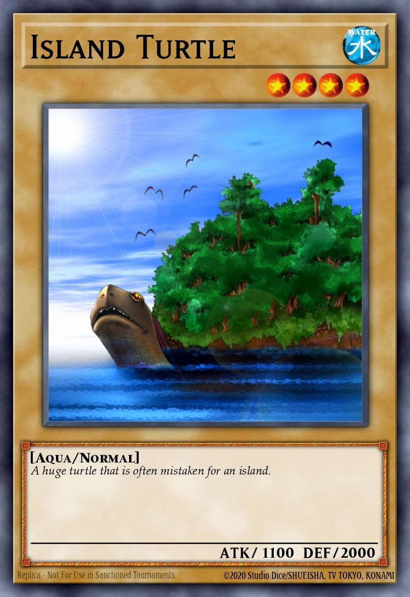 Island Turtle Starter Deck: Joey card