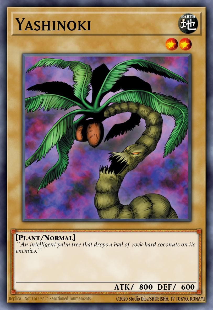 Yashinoki 遊戲王 card