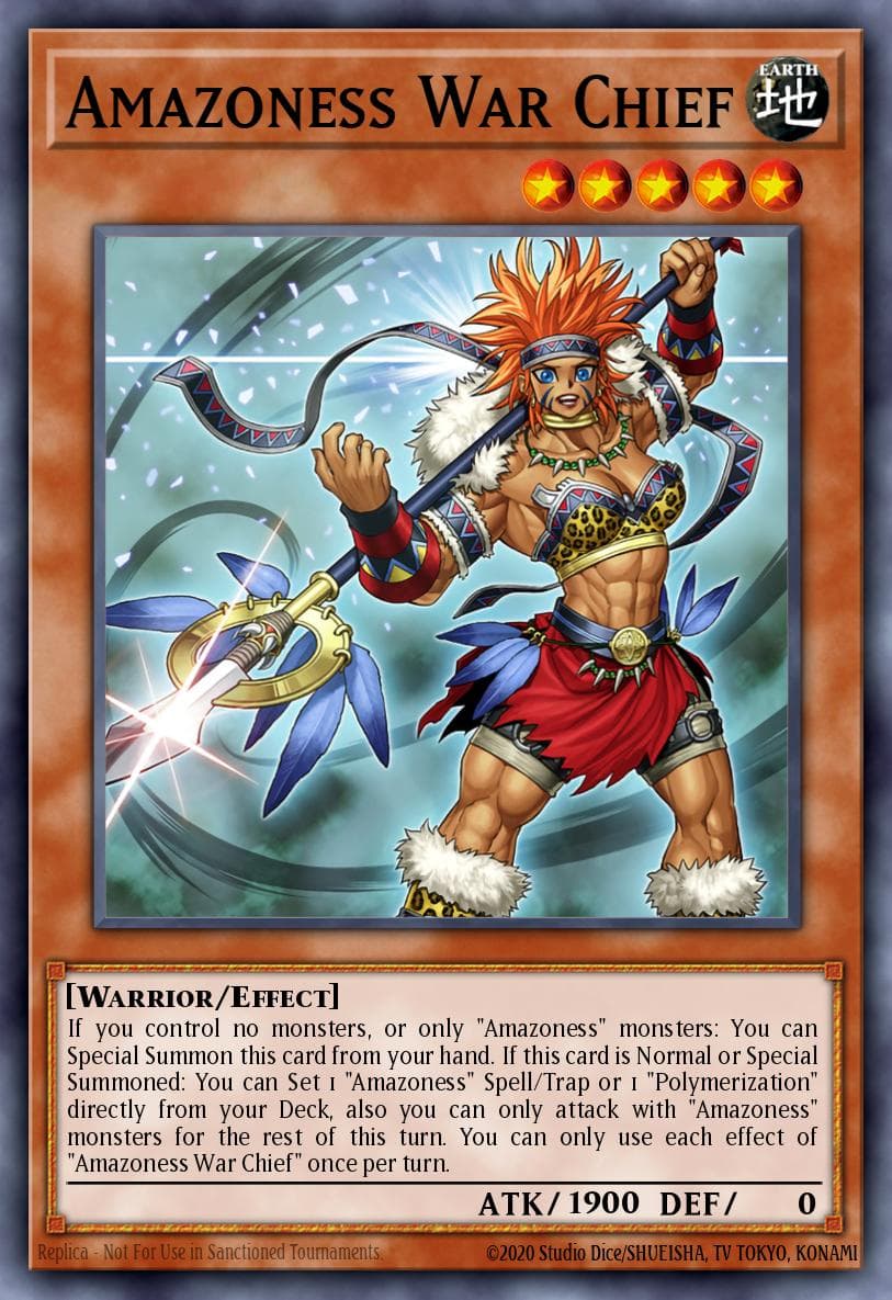 Amazoness War Chief 25th Anniversary Tin: Dueling Heroes Mega Pack card