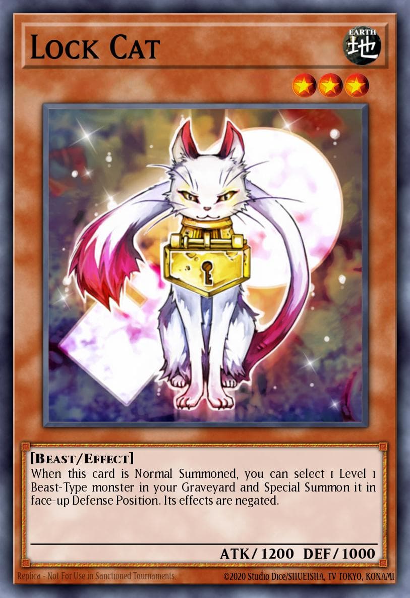 Lock Cat Duelist Revolution: Special Edition card