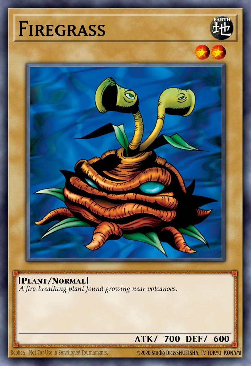 火炎草 游戏王 card