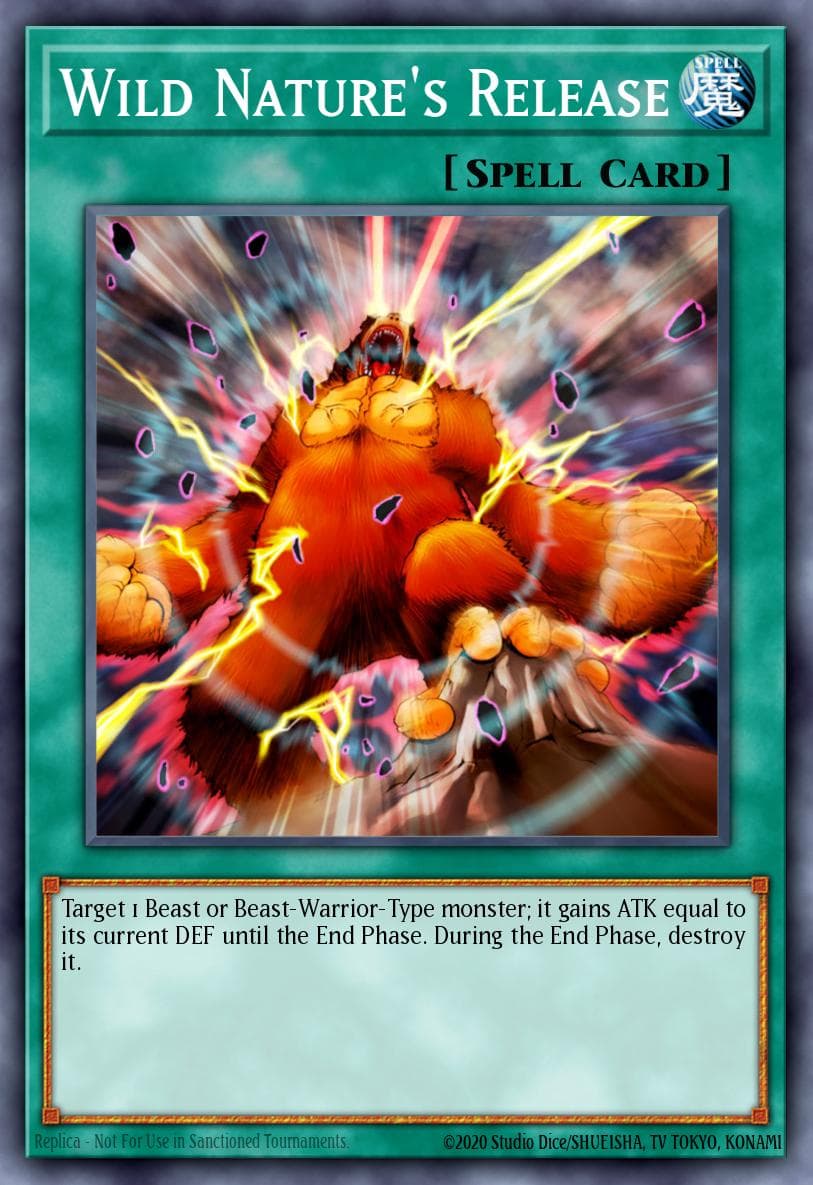 Wild Nature's Release Speed Duel: Battle City Box card