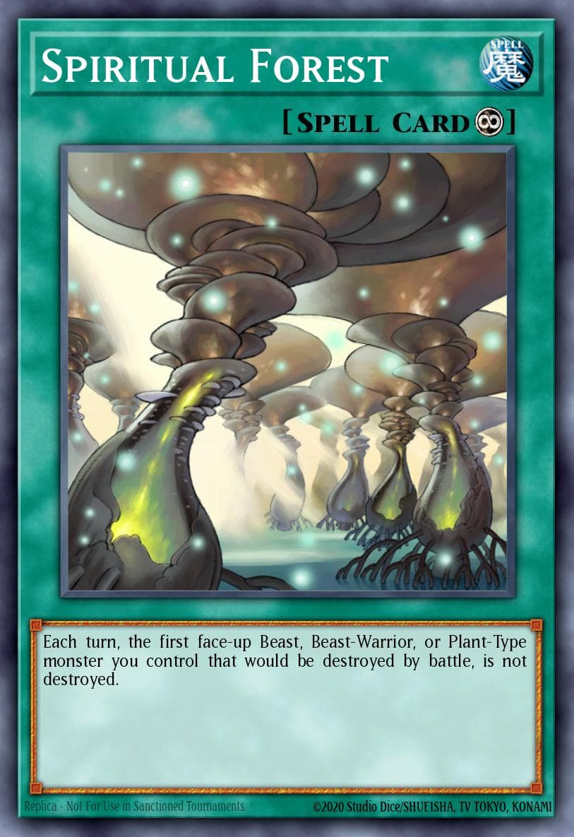 Spiritual Forest Speed Duel: Battle City Box card