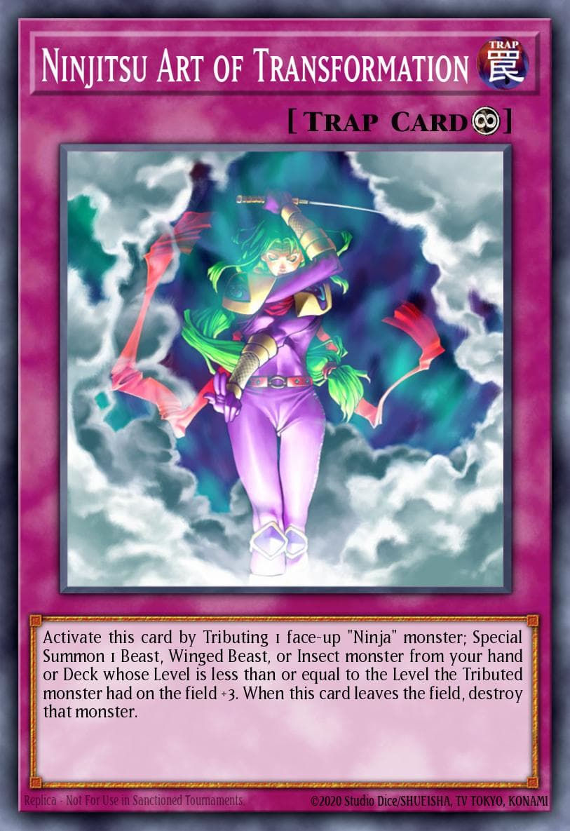 Ninjitsu Art of Transformation Ancient Sanctuary card