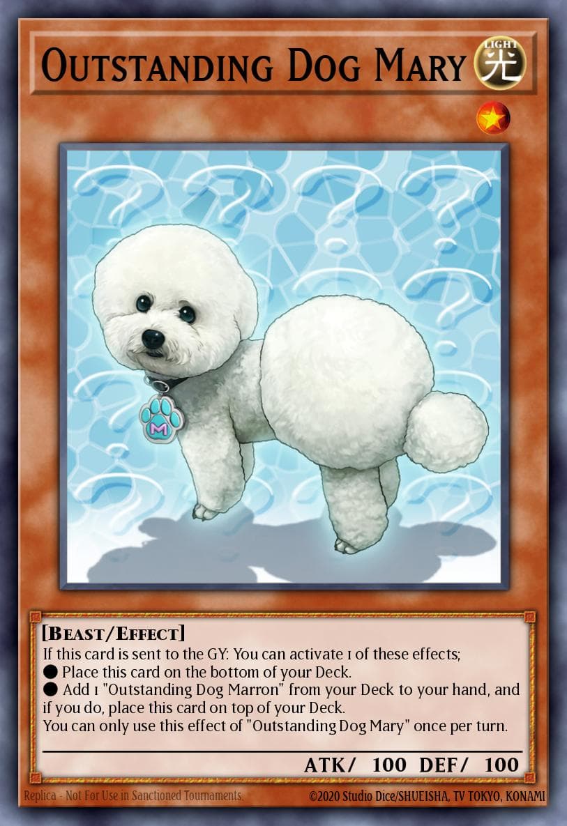 Outstanding Dog Mary Burst of Destiny card