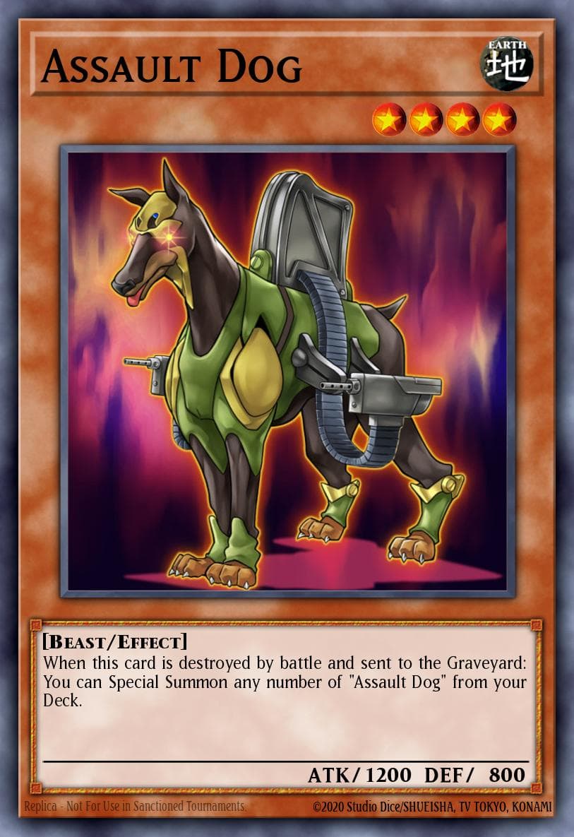 Assault Dog Dragons of Legend: The Complete Series card