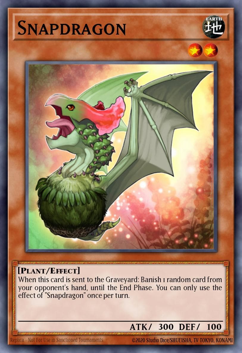 Snapdragon Legacy of the Valiant: Deluxe Edition card