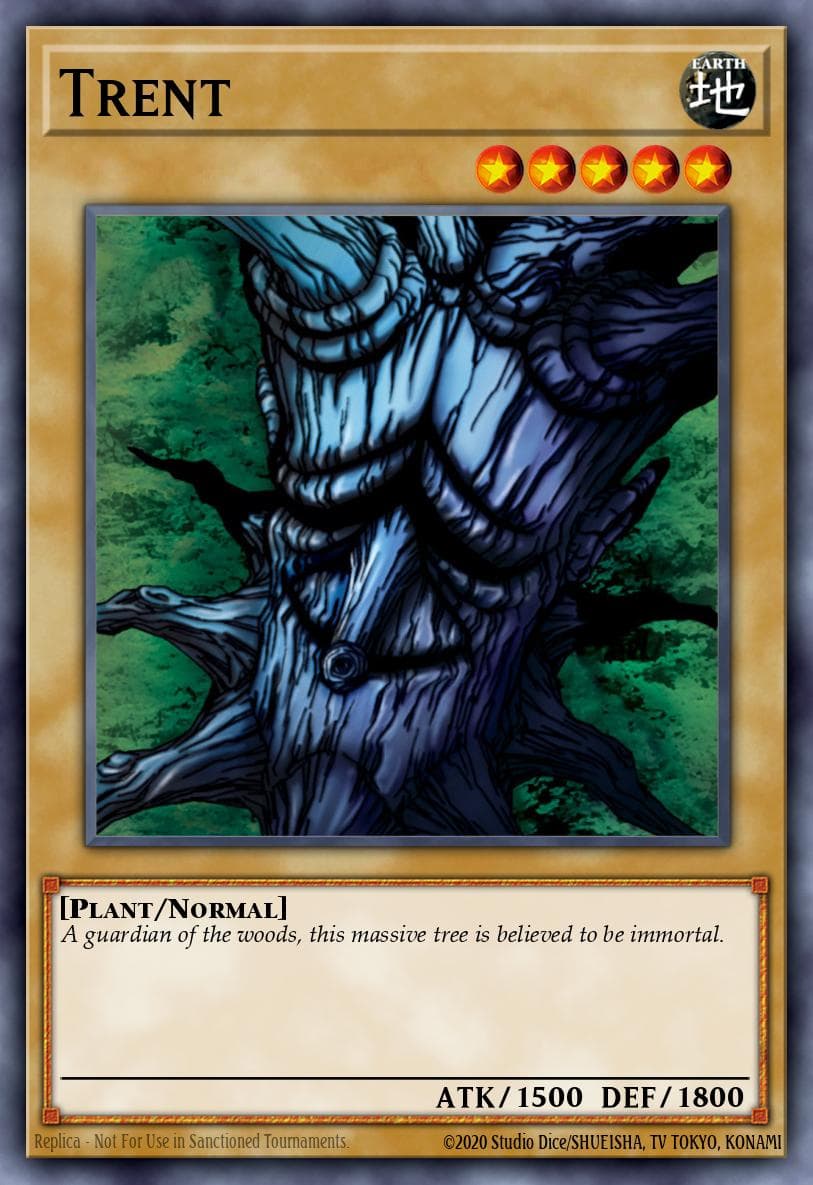 Trent Metal Raiders card