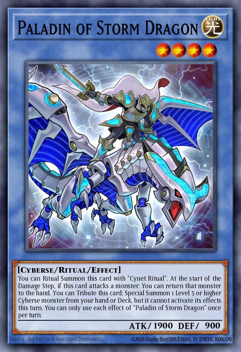 Paladin of Storm Dragon 2019 Gold Sarcophagus Tin Mega Pack card