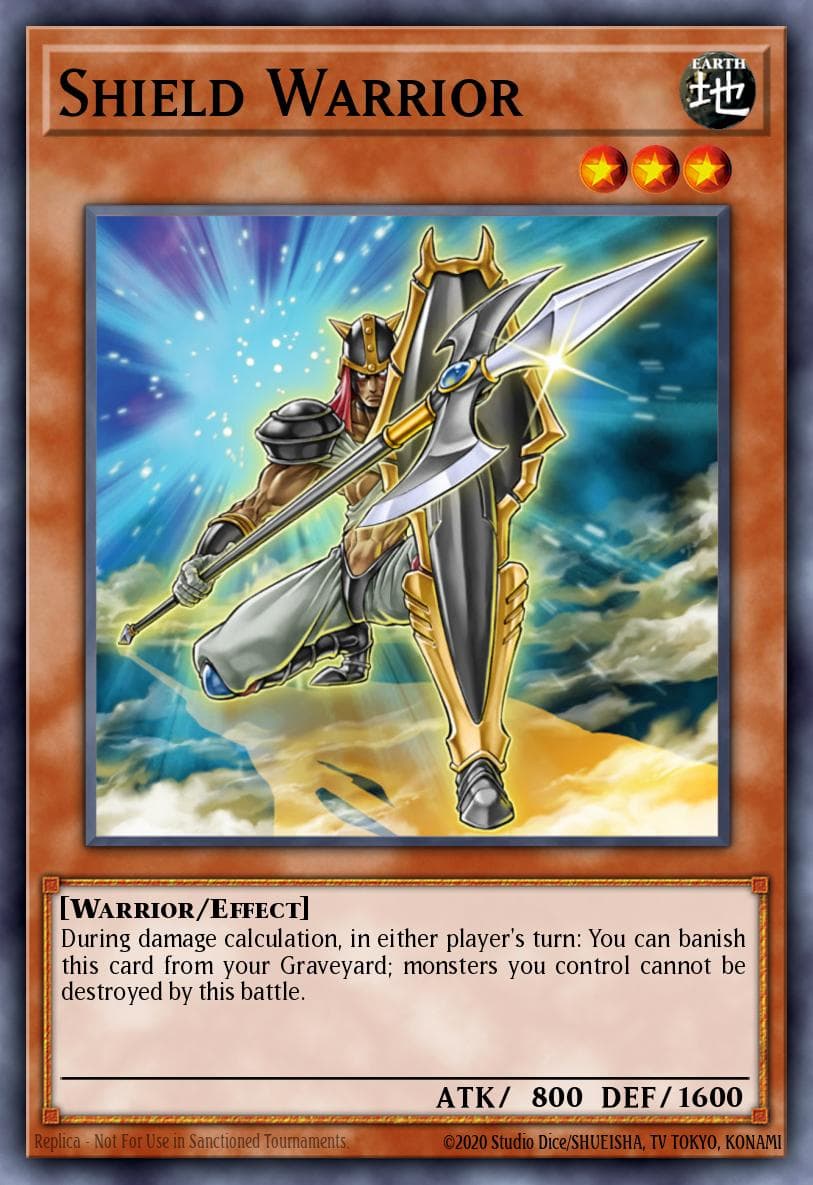 Shield Warrior The Duelist Genesis: Special Edition card