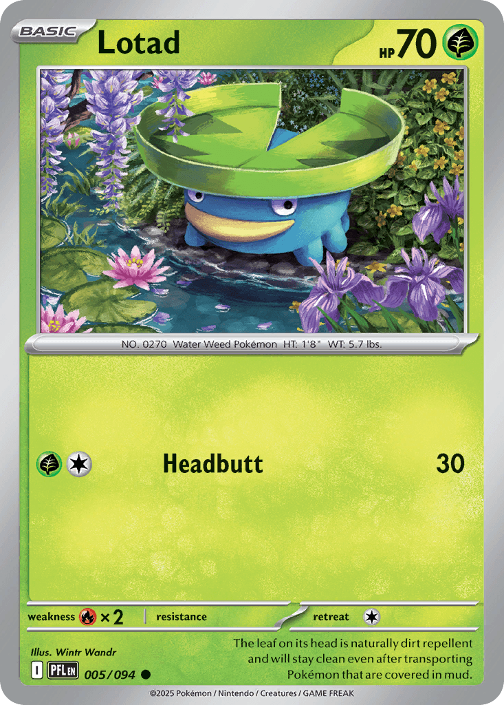 Lotad Phantasmal Flames card